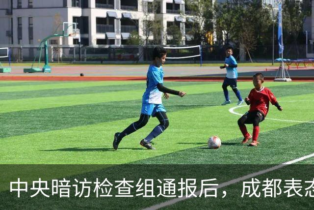 中央暗访检查组通报后，成都表态：已立案调查，拟顶格处罚