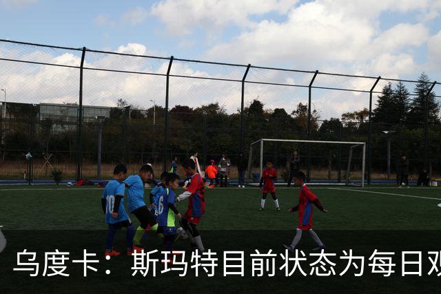 乌度卡：斯玛特目前状态为每日观察 希望他能在下一场比赛前复出