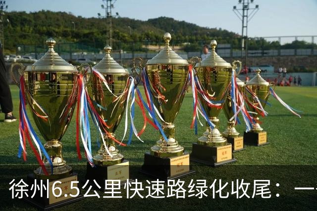 徐州6.5公里快速路绿化收尾：一条高架的价值，一半在桥面上，一半在桥下