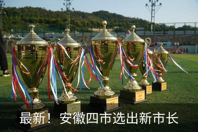 最新！安徽四市选出新市长