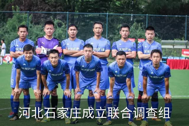 河北石家庄成立联合调查组
