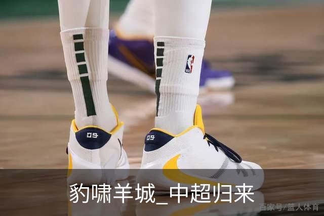豹啸羊城 中超归来