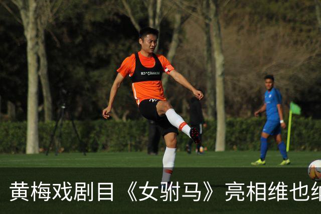 黄梅戏剧目《女驸马》亮相维也纳“中国戏演出季”