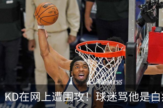 KD在网上遭围攻！球迷骂他是白痴，太阳老板点赞，狄龙也加入战局